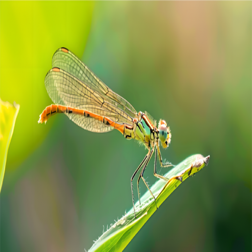 清明寄思，春意同行-北京踏實(shí)清明節(jié)放假通知